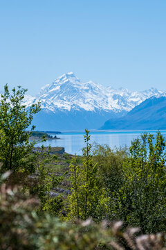 Mount Cook through the trees
