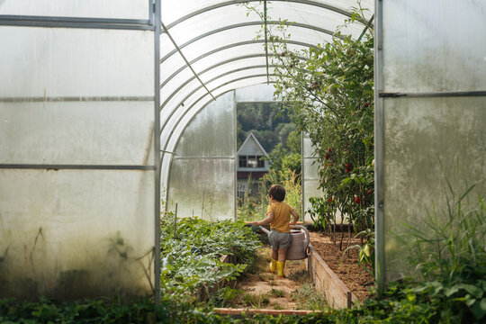 Child with watering can inside greenhouse garden