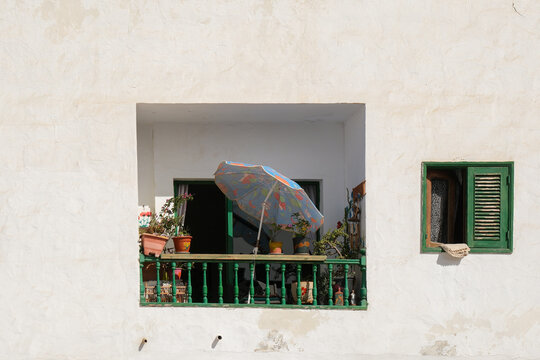 Minimalist Window Scene with Plants