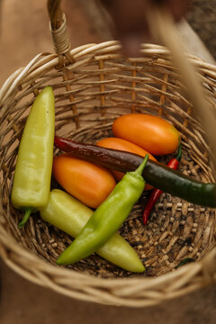 Basket with fresh peppers and tomatoes
