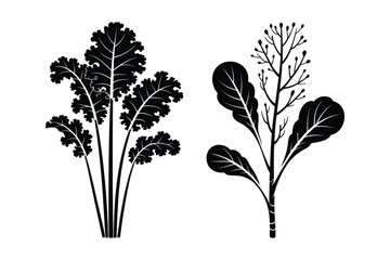 Black silhouette illustrations of leafy plants with silhouette botanical vegetation © Sadek