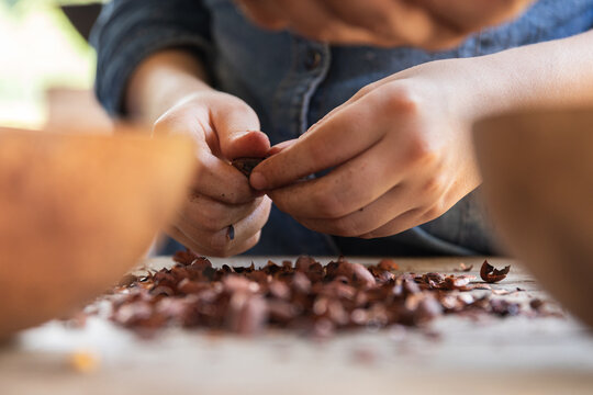 Hands separating cacao shells on wooden table