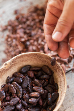 Hand Sorting cacao Beans in Rustic Bowl