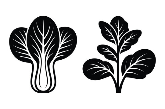 Bok choy and leafy green vegetable silhouette vector illustration with vegetable