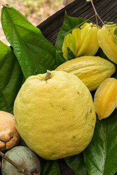 Close Up of Yellow Citrus and Fleshy Fruits