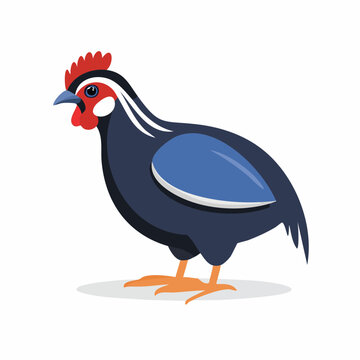 Illustration of a Guinea Fowl