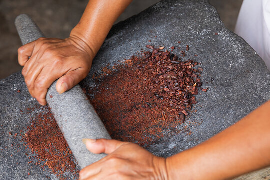 Hands grinding cacao for traditional dish