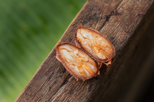 Detailed view of sliced fermented cacao bean halves