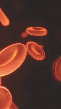 Red blood cells move through the bloodstream. This scene shows the cells and plasma in detail. The view is from a microscope. The colors show the different components clearly.