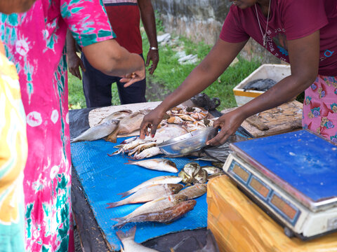 Local Fish Market Scene Showing Vendors and Customers Interacting