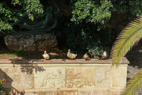 Birds Resting on Historic Garden Wall