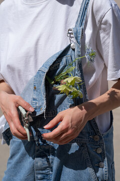 Pruning Shears and Fresh Flowers in Pocket