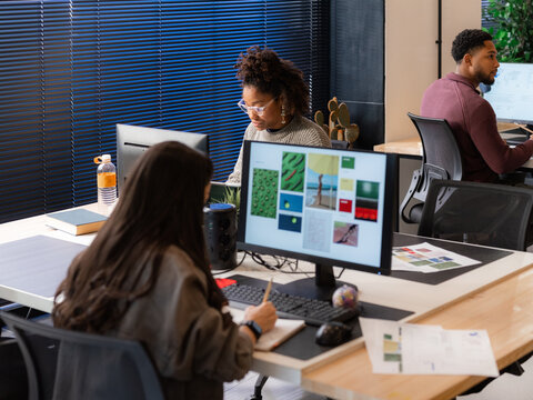 People Working at Desks in an Office With Computers