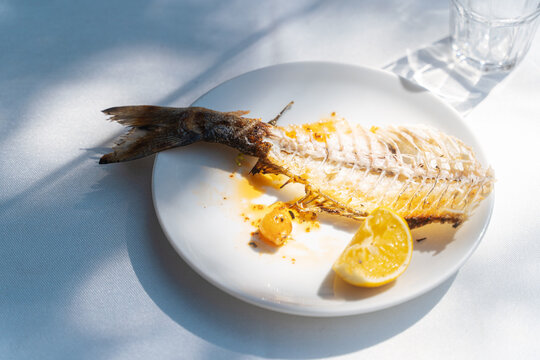 Fish skeleton with lemon remains on plate