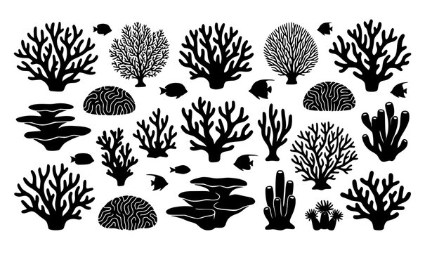 Coral Reef and Underwater Element Silhouette Set with Various Coral Types, Sea Plant, Algae, and Fish Symbols for Ocean and Aquarium Designs