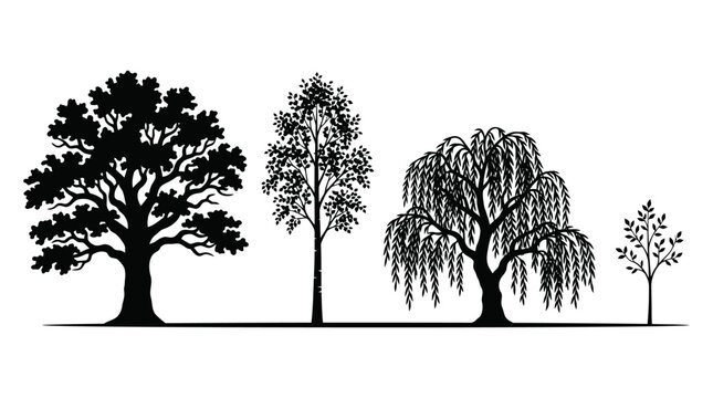 Set of four distinct tree silhouettes isolated on white background.