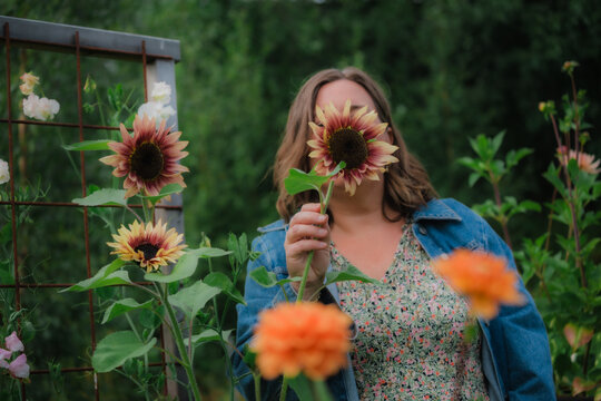 Woman hiding face behind a blooming dark red sunflower