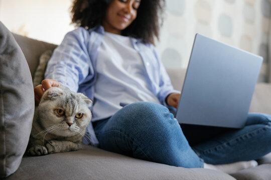 Smiling black woman caressing cat while using laptop on sofa at home