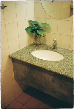 Sink area in a small restroom with a plant on the counter