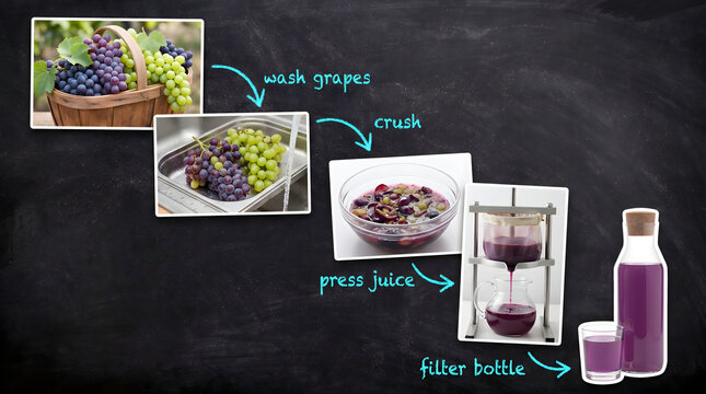 Infographic illustrating the process of making grape juice from washing and crushing grapes to filtering the final product on a dark chalkboard background