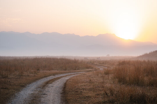 Winding dirt road through hazy golden field at sunrise