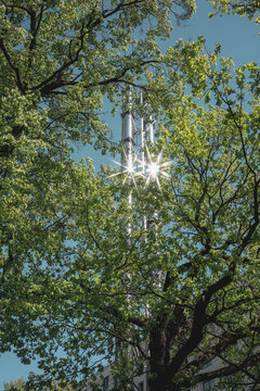 Modern stainless steel chimneys through green tree branches
