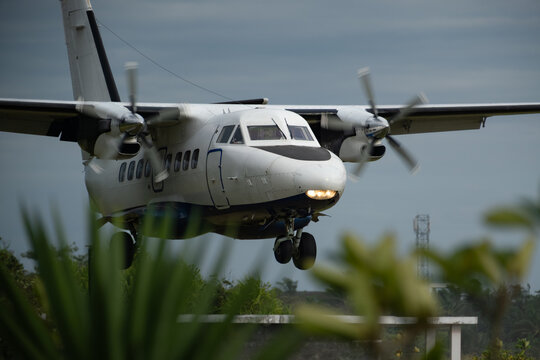 Turboprop aircraft on approach framed by tropical foliage