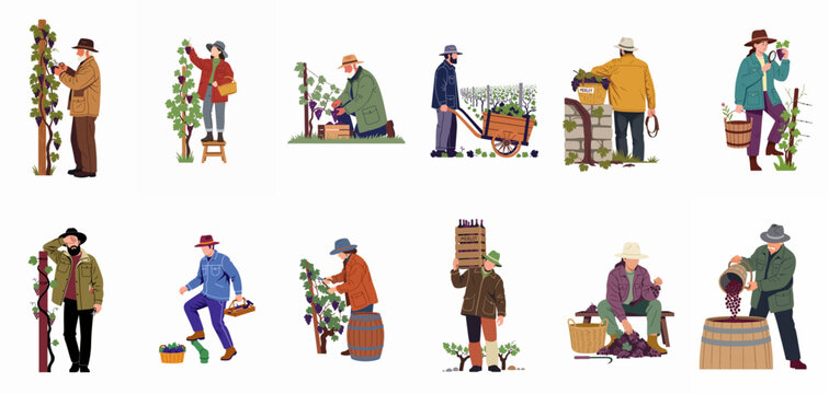 Set of illustrations featuring vineyard workers harvesting grapes, carrying crates, and processing wine, isolated on a white background.