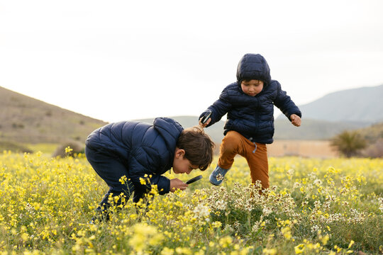 Children exploring nature with magnifying glass in field