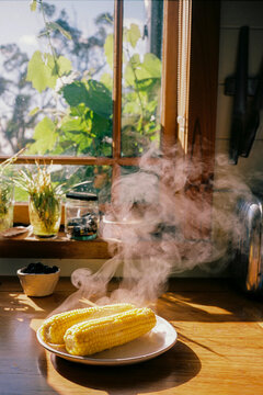 Corn cobs on the kitchen counter  