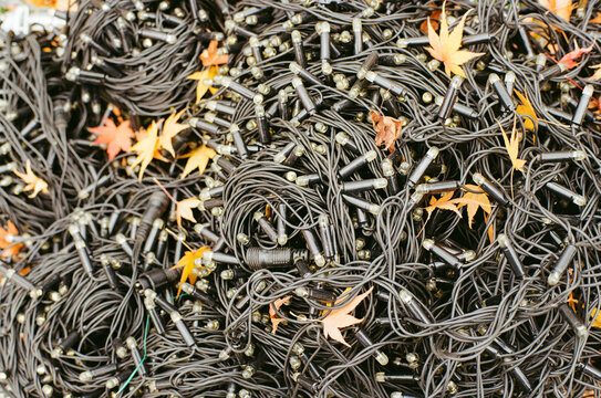 Yellow leaves on an outdoor LED Christmas garland

