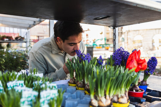 Man Enjoying the Scent of Spring Hyacinths at an Outdoor Stall