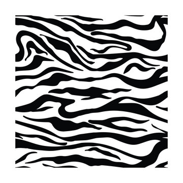 Seamless tiger stripes pattern, black and white animal print background, fashion wildlife safari texture, wild nature lines illustration.