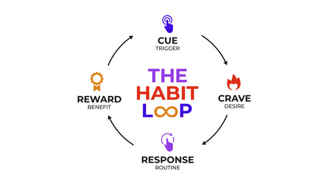 The habit loop neurological framework diagram infographic vector banner. Containing cue, crave, response, reward icons.