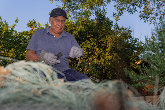 Older man repairing wire outdoors in garden