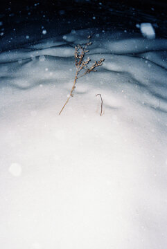 Film nature texture of snow at night