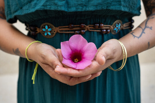 Female Hands closeup Holding Pink Flower, Emerald Dress