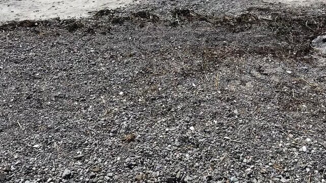 Gritty texture of a gravel ground with small stones, pebbles, and dirt. Top-down camera movement creating a natural, rough background