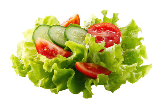 Fresh Green Lettuce With Sliced Cucumber And Tomato On Black Background