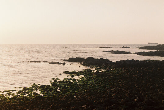 Film Photo &ndash; Mossy Volcanic Rocks on Coastal Shore at Sunset, Jeju