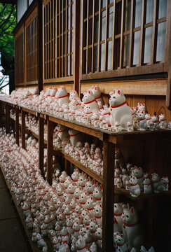 Film Photo of Maneki-Neko Figurines at Gotokuji Temple, Tokyo