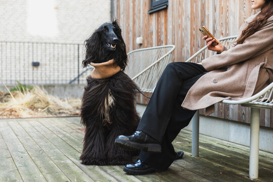 Owner sitting outdoors with her dog on a deck