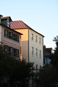 Classic Charleston Row Houses