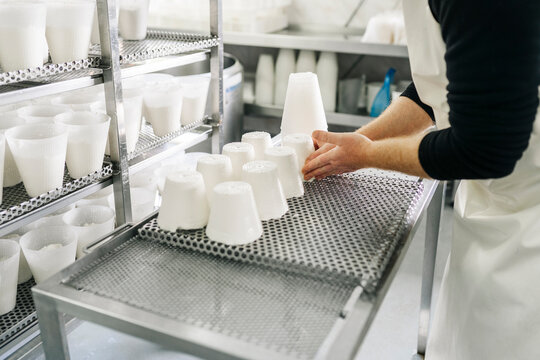 Artisan cheesemaker producing fresh local ricotta cheese