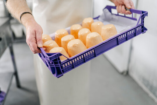 Artisan cheesemaker carrying tray of small handcrafted cheeses