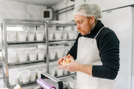Artisan cheesemaker preparing fresh cheese in dairy factory