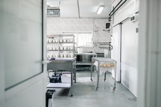 Artisanal cheesemaking factory producing dairy products