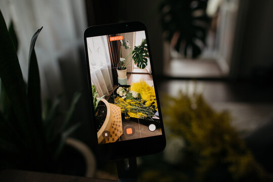 Phone filming flowers at home