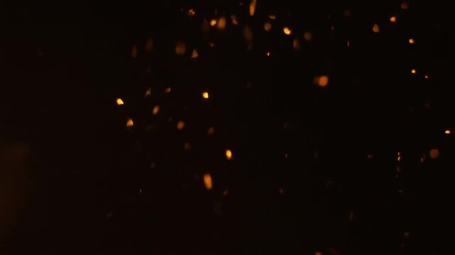 Macro Golden Fire Sparks and Glowing Embers Flying Up on Isolated Dark Background