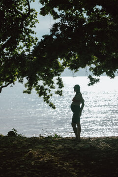 Pregnant Woman Silhouette by the Sea Under Tree Shade